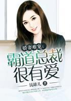 霸道总裁娇妻你不乖