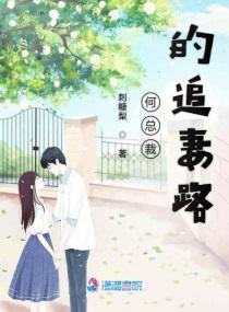 总裁老婆何金银免费