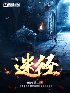 迷径之上什么时候播出