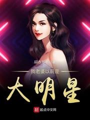 我老婆以前是大明星 码农写书