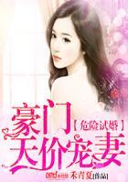 危险甜婚免费阅读全文