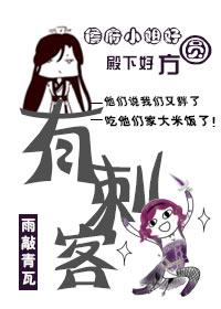 这个刺客有毛病顶点