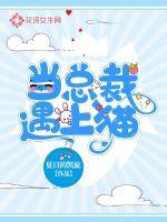 当总裁遇上大神在线阅读