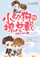 小奶狗快穿甜文推荐