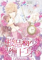 极品狂少进阶划分