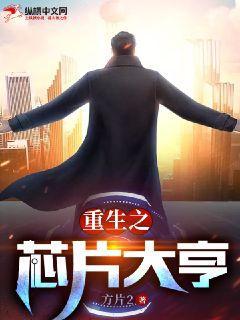 重生之芯片代工的