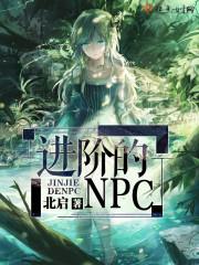 进阶的王妃电视剧免费观看完整版