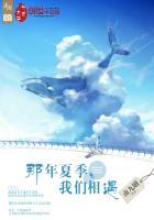歌词那年夏天我们的相约