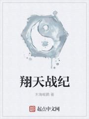 天翔记 战才