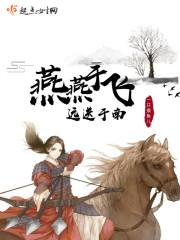 燕燕于飞远送于南