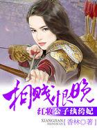 相贱恨晚红妆公子纨绔妃txt