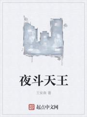 夜斗身世