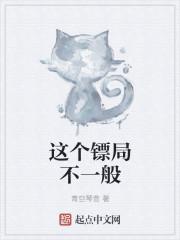 有个镖局的电视剧