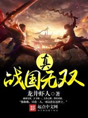 战国无双2猛将传