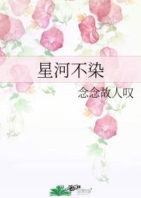 星河染梦