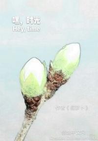 时光的散文句子