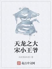 天龙之大宋小王爷免费阅读