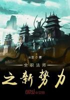 全职法师之新势力 从变