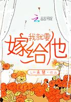 我就要嫁给你了是什么歌