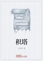 积塔半导体公司简介