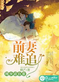 书名前妻难追