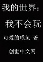 我的世界你不会懂说说