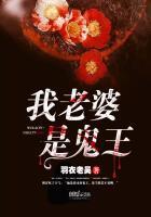 我的老婆是鬼王吧