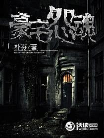 豪宅之谜/the mansion