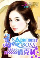 豪门boss宠妻请节制