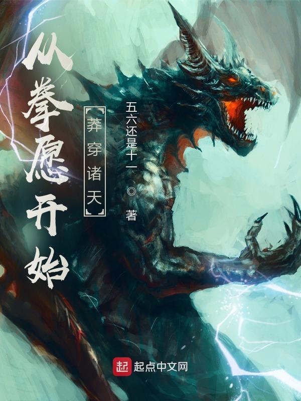 从拳法大成开始