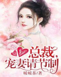 宠妻请节制更新