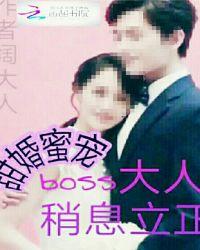 甜蜜宠妻boss大人