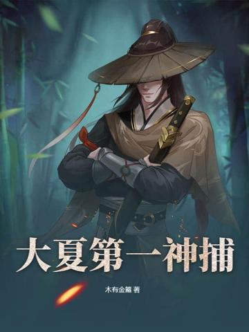 大夏第一神捕笔趣阁