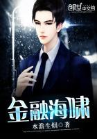 金融海啸是什么意思