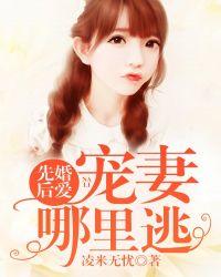 先婚后爱宠妻哪里逃免费阅读