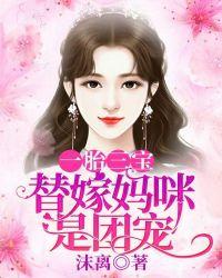 一胎三宝豪门替孕妻有声