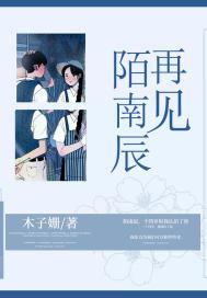 陌南辰是什么意思