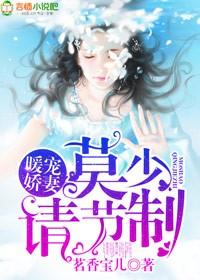 暖宠娇妻莫少请节制