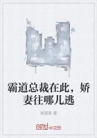 霸道总裁小娇妻免费阅读大全