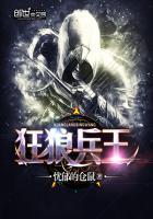 美女总裁特种兵电视剧