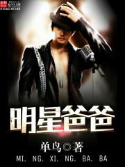 明星爸爸经历