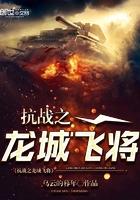 抗战之飞龙战队