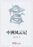 中州风云记txt