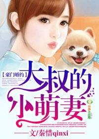 豪门大叔小小妻