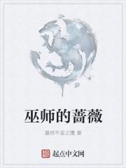 巫师三蔷薇骑士