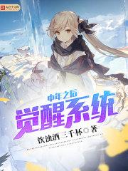 中年觉醒系统的