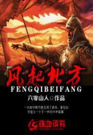 风起北方阅读