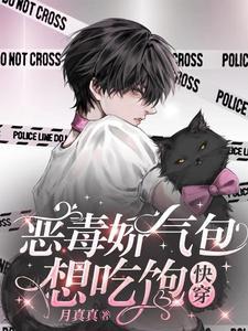 快穿恶毒炮灰太嚣张免费阅读