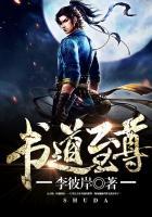 书道至尊免费阅读