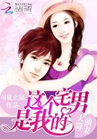 天降仙女媳妇塑料壳无弹窗